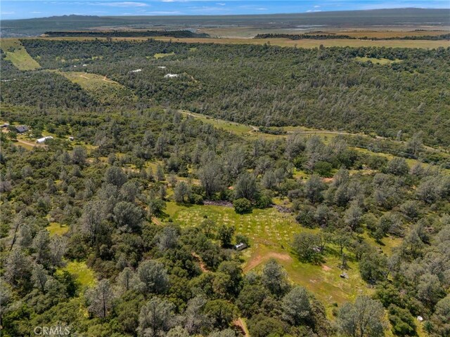 5 Oregon Gulch Rd, Oroville, CA 95965 - photo 7