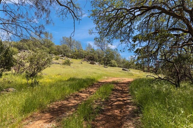 5 Oregon Gulch Rd, Oroville, CA 95965 - photo 3