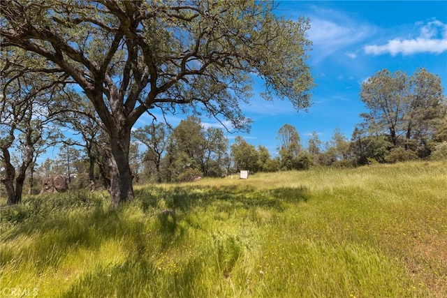 5 Oregon Gulch Rd, Oroville, CA 95965 - photo 6