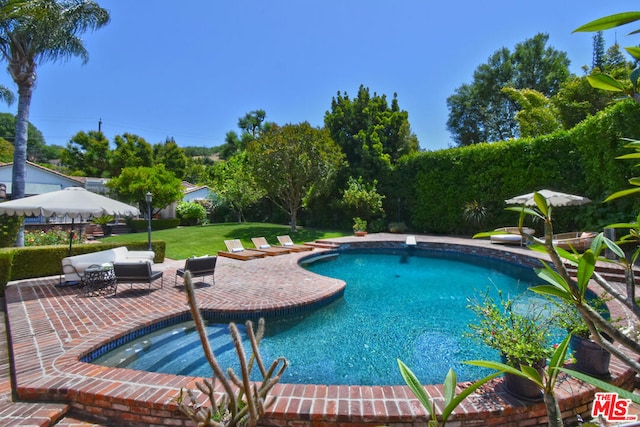 view of pool with a jacuzzi and a patio area