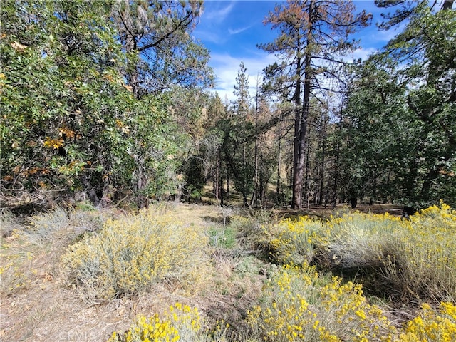 Listing photo 2 for 25840 Wilderness Way, Tehachapi CA 93561