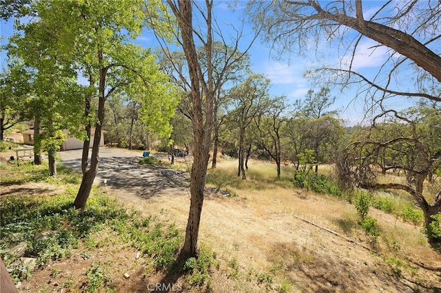 view of landscape