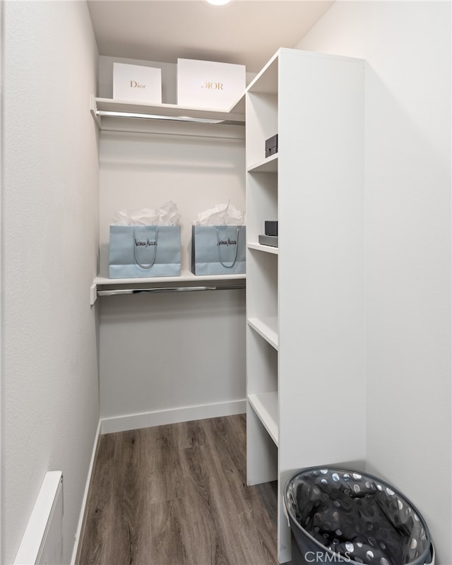 spacious closet with dark hardwood / wood-style flooring