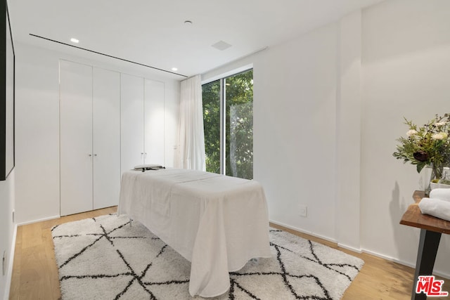 bedroom featuring light hardwood / wood-style flooring