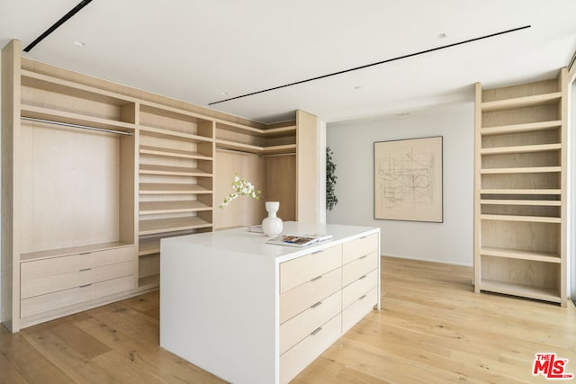 spacious closet with light hardwood / wood-style flooring