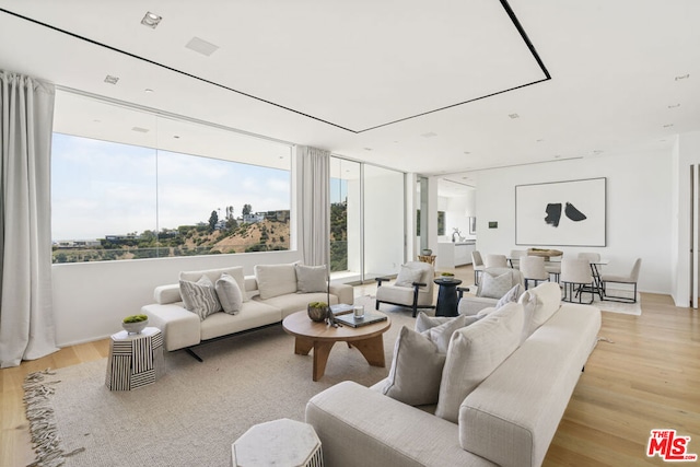 living room featuring light hardwood / wood-style flooring