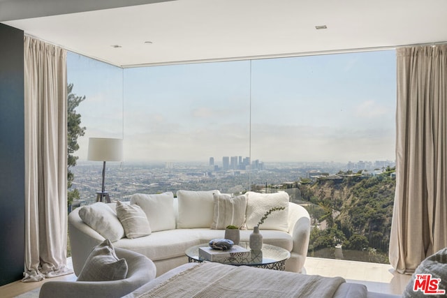 living room featuring a wall of windows