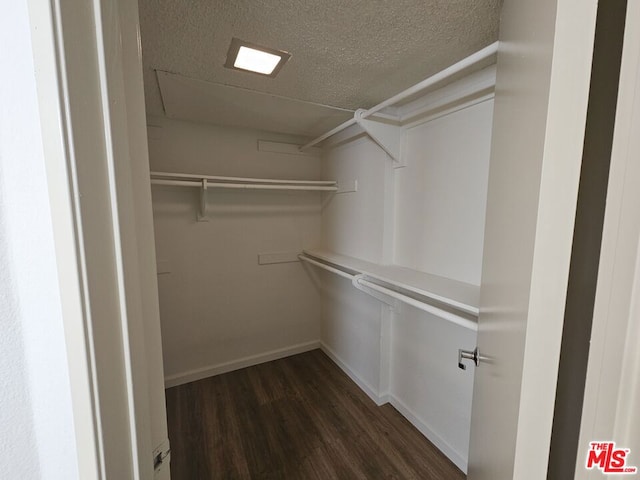 walk in closet with dark wood-type flooring