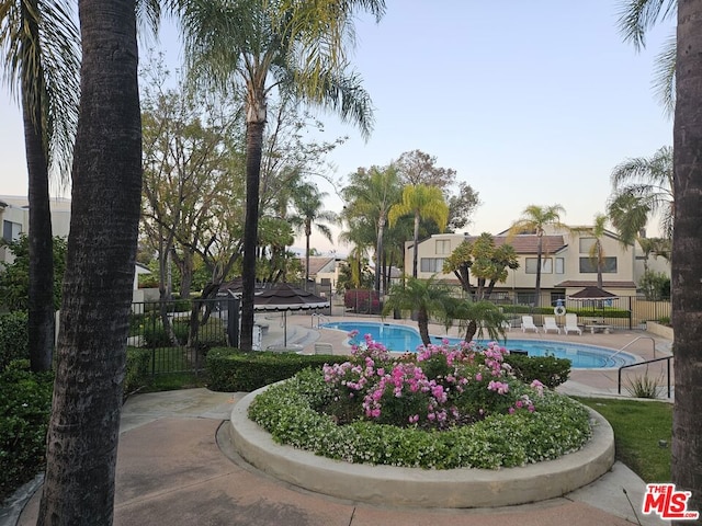 view of pool featuring a patio area