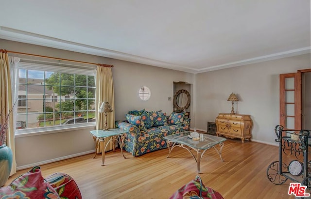 living room featuring wood-type flooring