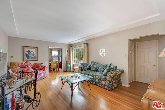 living room featuring wood-type flooring