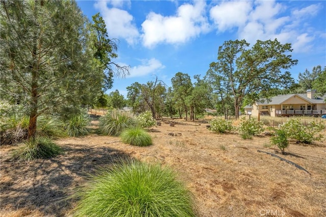 view of yard with a rural view