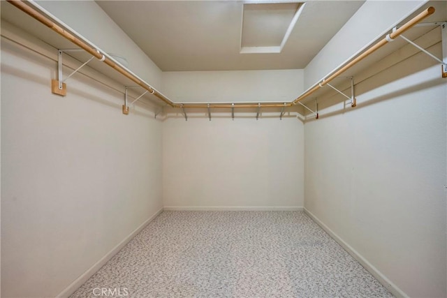 spacious closet with carpet floors