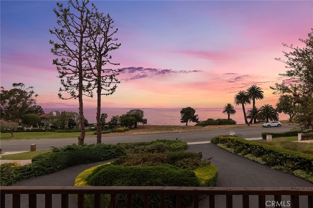 view of home's community with a water view