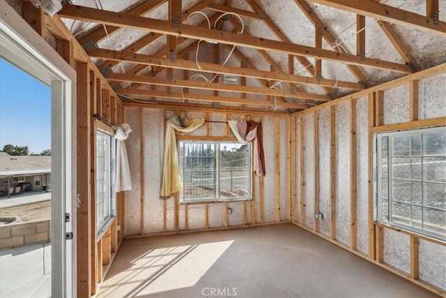 miscellaneous room with lofted ceiling