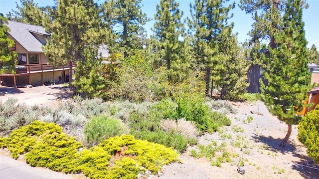 2310 E Canyon Dr, Wrightwood, CA 92397 - photo 11