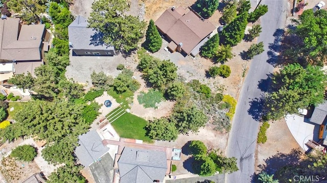 2310 E Canyon Dr, Wrightwood, CA 92397 - photo 4