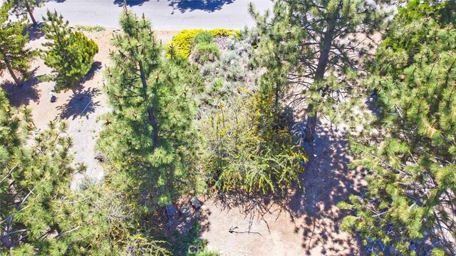 2310 E Canyon Dr, Wrightwood, CA 92397 - photo 13