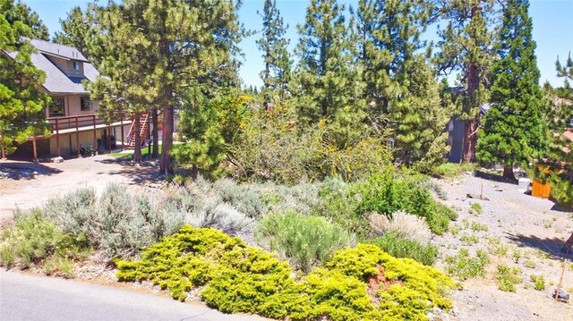 2310 E Canyon Dr, Wrightwood, CA 92397 - photo 12