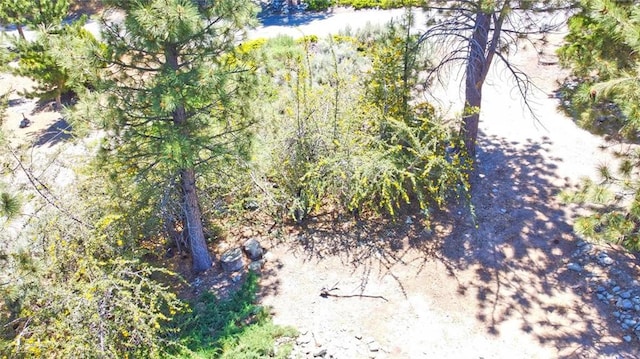 2310 E Canyon Dr, Wrightwood, CA 92397 - photo 14