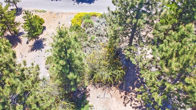 2310 E Canyon Dr, Wrightwood, CA 92397 - photo 15