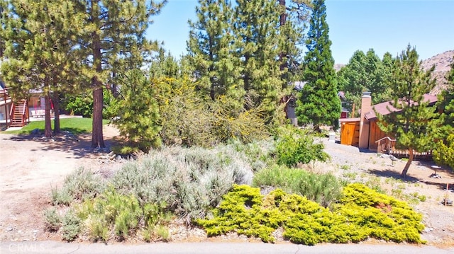 Listing photo 3 for 2310 E Canyon Dr, Wrightwood CA 92397