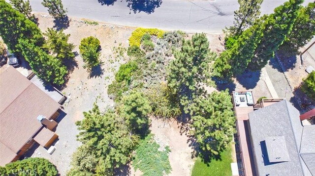 2310 E Canyon Dr, Wrightwood, CA 92397 - photo 16