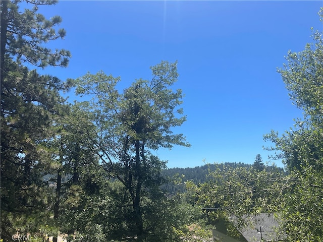 21972 Tower Heights Rd, Cedarpines Park CA, 92322 land for sale