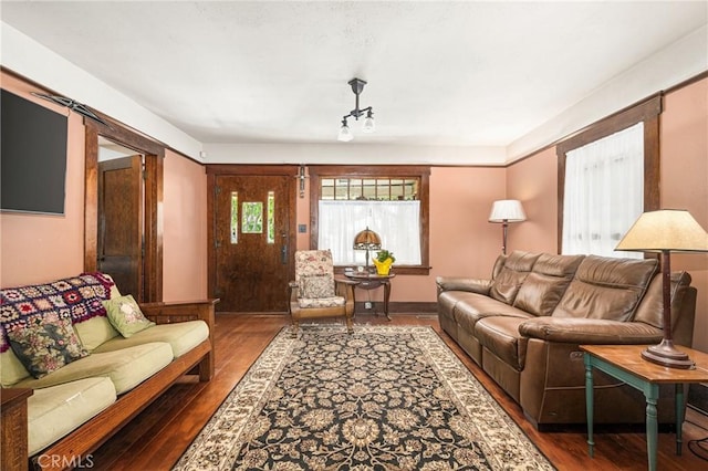 living room with wood-type flooring