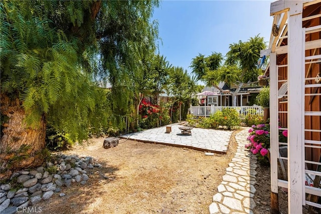 view of yard featuring a patio area