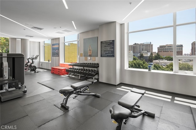 gym featuring expansive windows and plenty of natural light