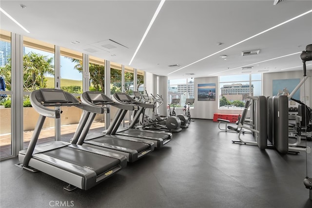 exercise room featuring plenty of natural light and expansive windows