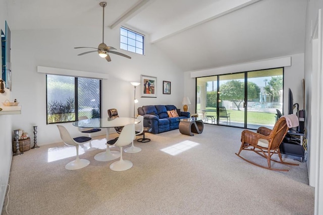 carpeted living room featuring ceiling fan, plenty of natural light, beam ceiling, and high vaulted ceiling