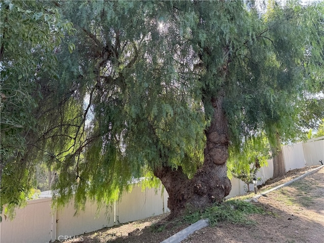 16000 W Rd, Whittier, CA 90603 - photo 41