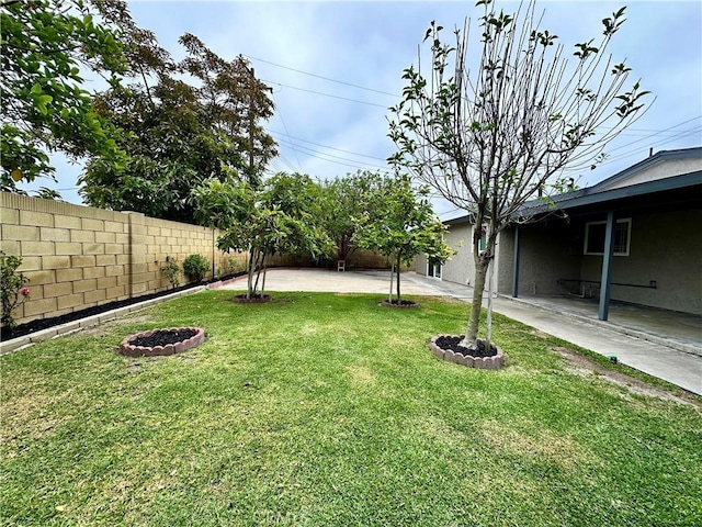 view of yard featuring a patio area