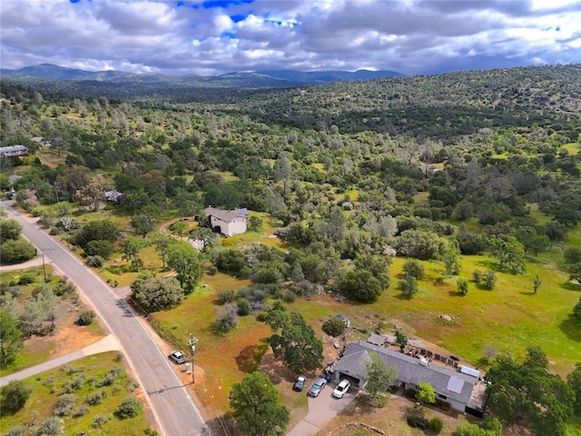 30545 N Dome Dr, Coarsegold CA, 93614 land for sale