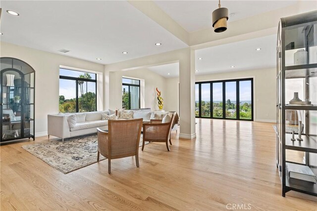 living room with light wood-type flooring and a wealth of natural light