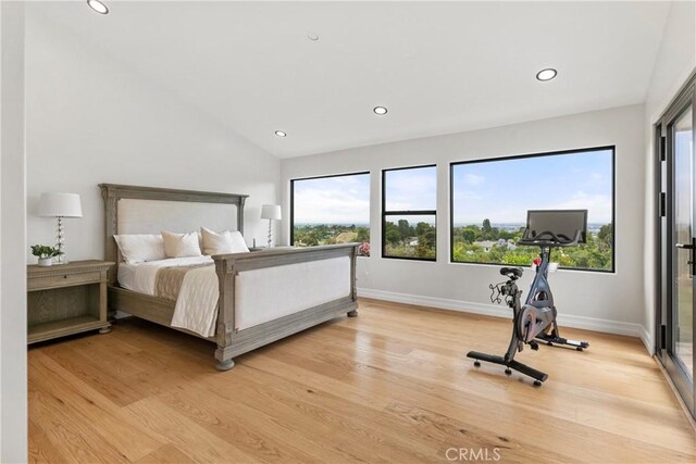 bedroom featuring light hardwood / wood-style flooring and lofted ceiling