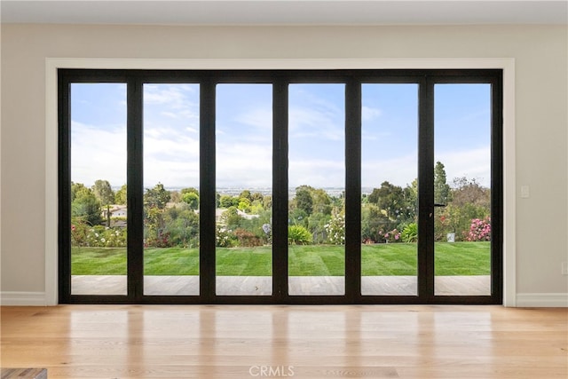 entryway featuring light hardwood / wood-style flooring and a wealth of natural light