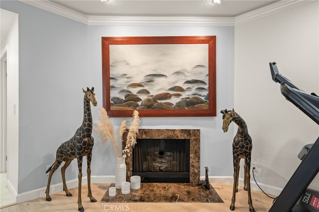 interior space with baseboards, a premium fireplace, and ornamental molding