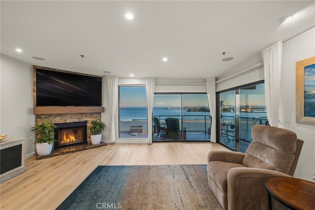 living room featuring a fireplace and light hardwood / wood-style floors