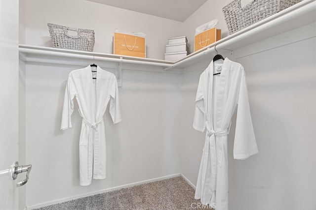 spacious closet with carpet floors