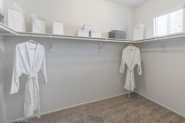 spacious closet with carpet flooring