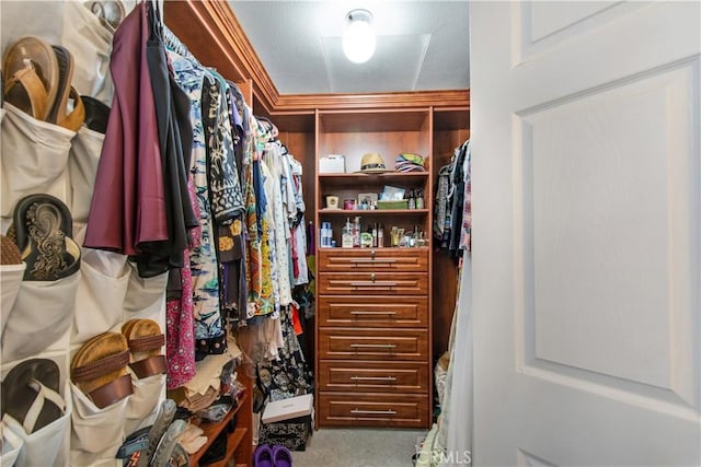 walk in closet featuring carpet