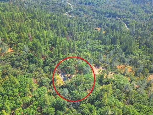 birds eye view of property featuring a forest view