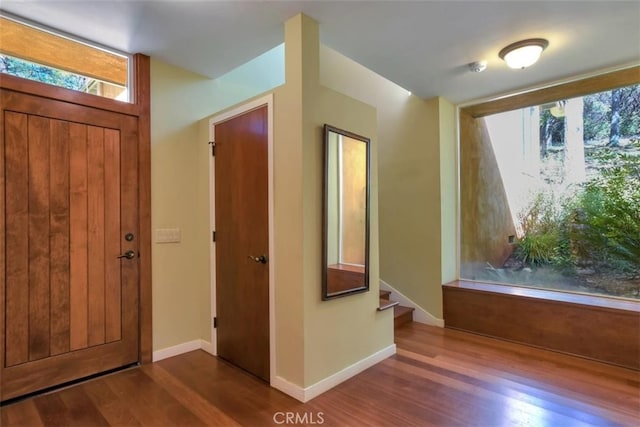 entrance foyer featuring a wealth of natural light and hardwood / wood-style floors