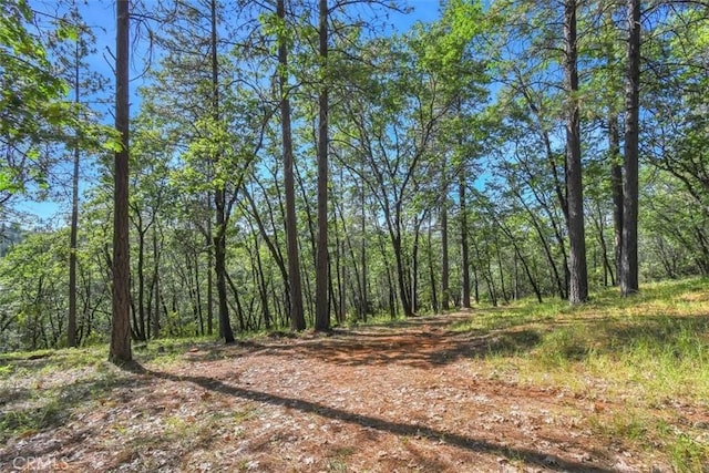 view of landscape featuring a view of trees