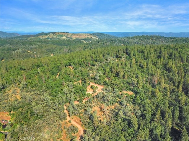 bird's eye view featuring a mountain view