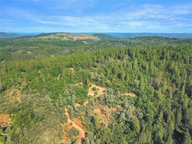 aerial view with a view of trees and a mountain view