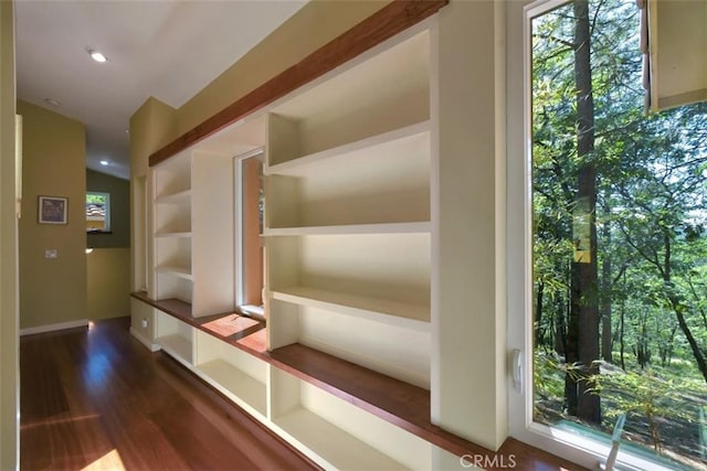 mudroom featuring dark hardwood / wood-style floors